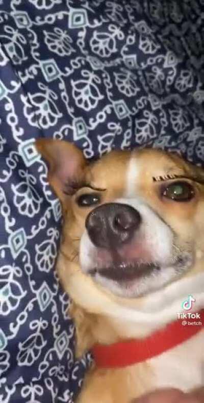 She’s ready for a night out