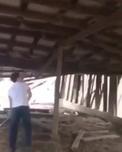 How stupid can you actually be...