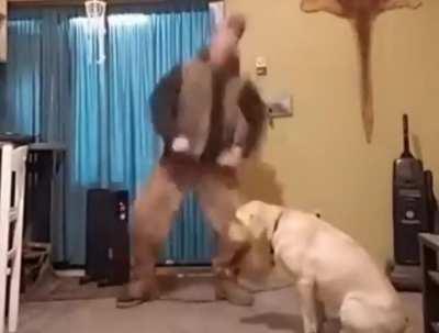 My younger brother had a dream where it was announced that on New Year's Eve, the entire world would be nuked. This is the remake of the last thing that appeared on the TV.