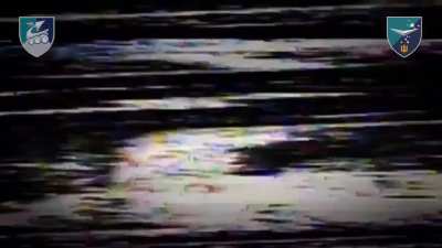 Kursk/Sumy Border region: Russian assault squad taken out. Ukrainian 36th Marine Brigade's UAV Battalion, March 31, 2025