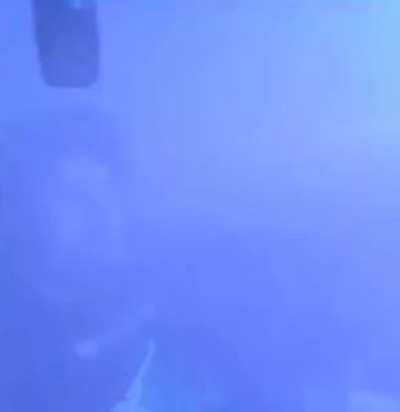 Reddithaider sobald das Sub die unweigerliche Ferlassung einleitet: