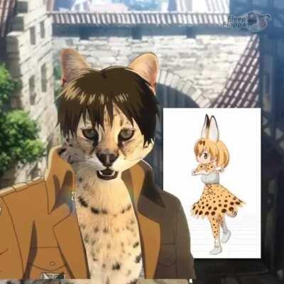 :3 v13 the attack on floppa