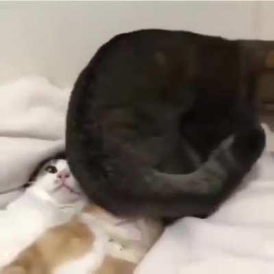 Here .... have a face full of my ass