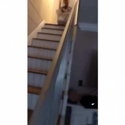 Sliding down the stairs in a basket