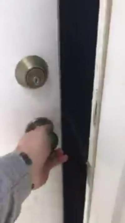 Upvote if oyu would love to come home to this!