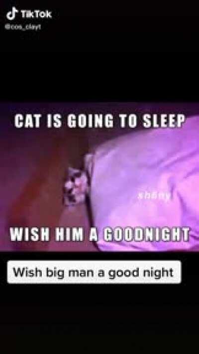 Wish big man good night