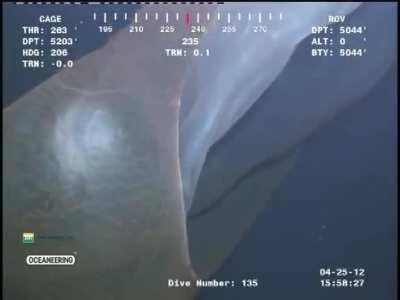 No, no, no thank you.