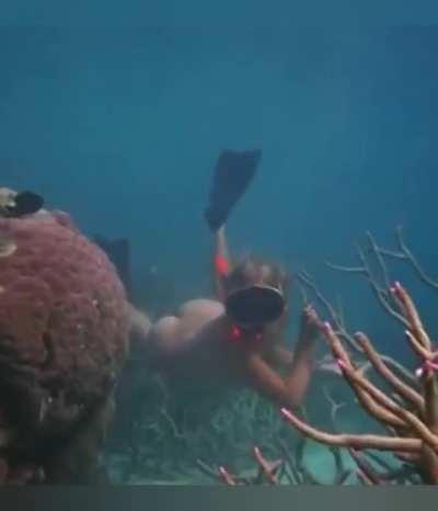 Helen Mirren Over The Years