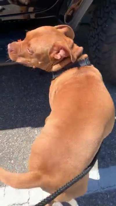 He’s finally carrying his own stuff!