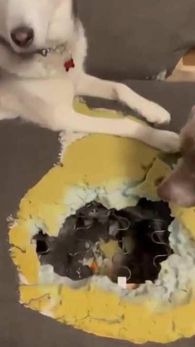 The cat got inside the sofa, but they dug a hole so that it could get out. Respect for offering a helping paw.