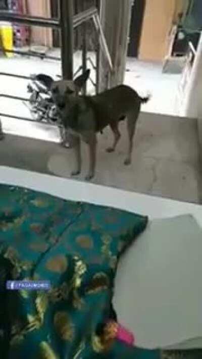 Hai reet jahan ki preet sada mein geet wahi ke gaata hu bharat ka rehne wala hu bharat ki bat sunata hu