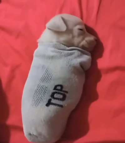 Limondan almanya date temalı beleş psikolog seansı sonrası uykunun rahatlık