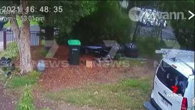 Attempted homicide on elderly stepdad.