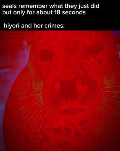 Hiyori and her silly crimes