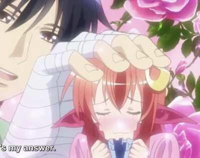 Let us admire the Miia Headpat