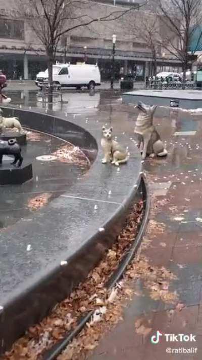 I wonder how many that live in that area knows about this