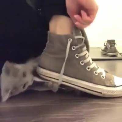 Using strings with C@ is too difficult