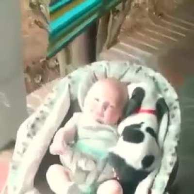 Off the Cuteness Scale completely.