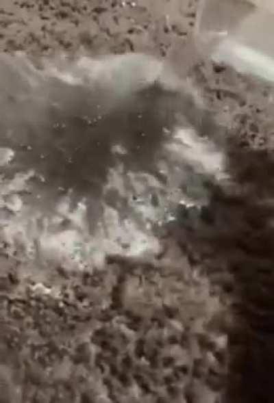 Kid panics during cleaning tutorial