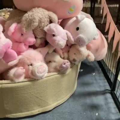 Next level Camouflage