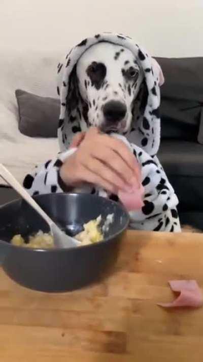 More more more more yummy yummy…