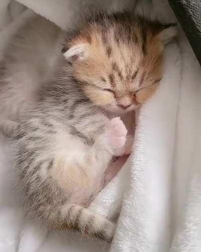 Gotta find my comfy sleeping position!!