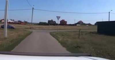 Just a typical day in the outskirts