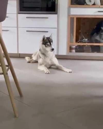 I just wanted to take a nap