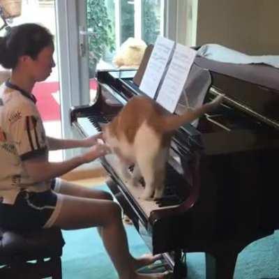 "Here, allow me to end your damn career."