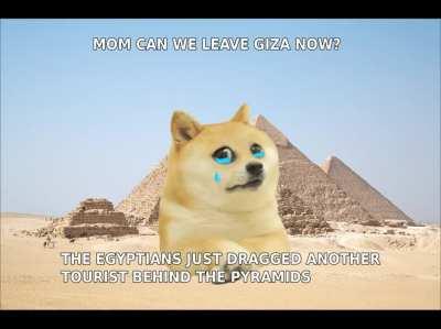 Wanna ride my Camel?