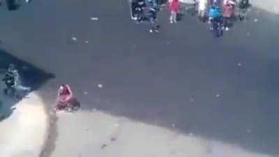 A man throwing objects at dogs