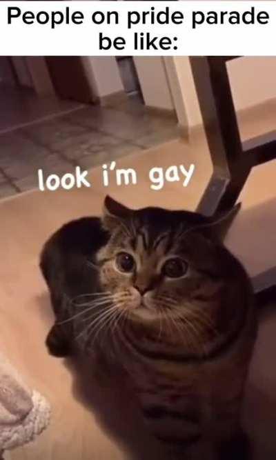 Just a cute meme I wanted to share with the community I'm part of