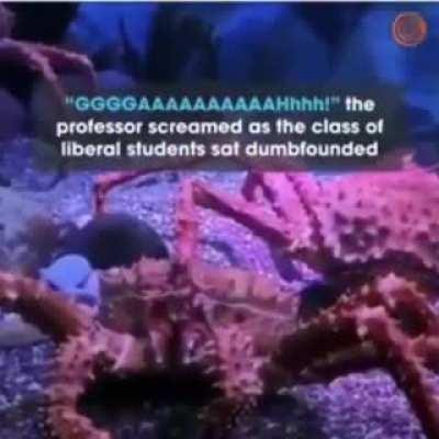 dont know if i already posted this but i cant get enough of this one