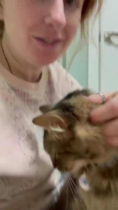 Big purrs and cuddle session 😻🥰