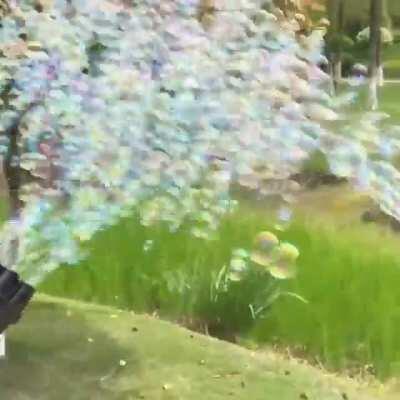 This is so coooooool!