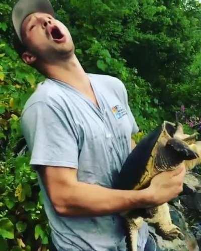 Unrequited love,What a kiss.