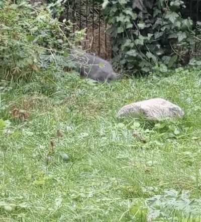 Stop him! He's fleeing the crime scene!