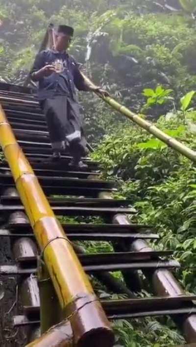 Aesthetic the whole life of him