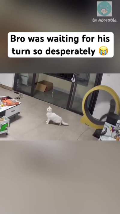 Bro is impatient