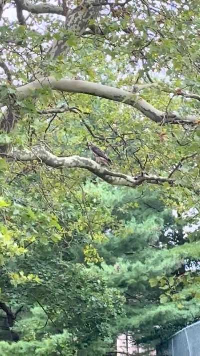 Seen at FDU in Madison, NJ