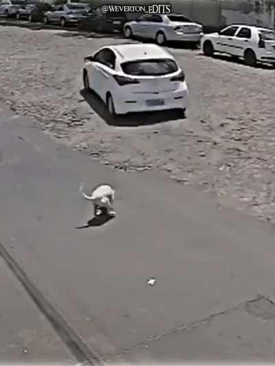 Cara isso me quebrou….