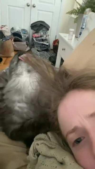 Trying to groom their human