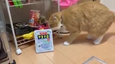 Noodle thief caught red-handed