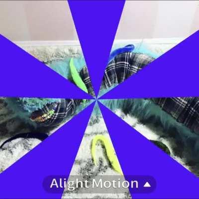 Just a lovely edit I made of Weeves