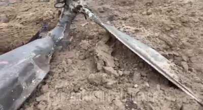 Mi-8 RF-91292: Video of crash site and deceased crew looks like eaten by animals