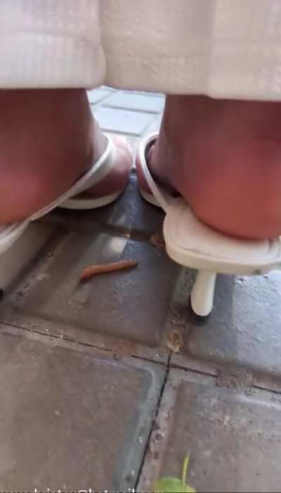Latina Woman crush worm accidentally
