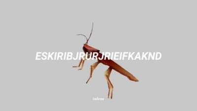 RIRIRIRIRIRIRIRIRIRIIRIIIIII 🥵