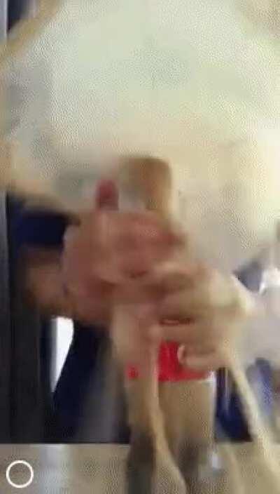 What could go wrong?