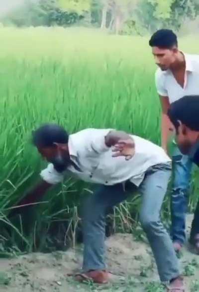 He's alot braver than me