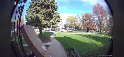 UPS driver saves the day after hearing pinned boy’s cries